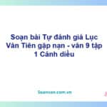 Soạn bài Lục Vân Tiên gặp nạn | Cánh diều Ngữ văn 9