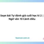 soạn bài tự đánh giá cuối học kì 2 ngữ văn 10 cánh diều