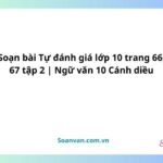 soạn bài tự đánh giá lớp 10 trang 66, 67 tập 2 ngữ văn 10 cánh diều