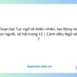 soạn bài tục ngữ về thiên nhiên, lao động và con người, xã hội trang 12 cánh diều ngữ văn 7