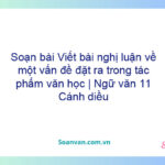 Soạn bài Viết bài nghị luận về một vấn đề đặt ra trong tác phẩm văn học | Ngữ văn 11 Cánh diều