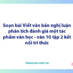 Soạn bài Viết bài văn nghị luận phân tích, đánh giá một tác phẩm văn học | Ngữ văn 10 Kết nối tri thức