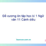 Đề cương ôn tập học kì 1 Ngữ văn 11 Cánh diều