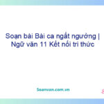 Soạn bài Bài ca ngất ngưởng | Ngữ văn 11 Kết nối tri thức