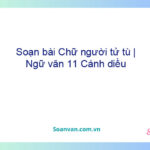 Soạn bài Chữ người tử tù | Ngữ văn 11 Cánh diều