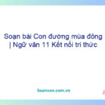 Soạn bài Con đường mùa đông | Ngữ văn 11 Kết nối tri thức