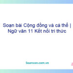 Soạn bài Cộng đồng và cá thể | Ngữ văn 11 Kết nối tri thức