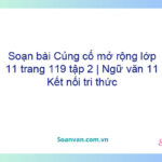 Soạn bài Củng cố, mở rộng lớp 11 trang 119 tập 2 | Ngữ văn 11 Kết nối tri thức