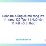 Soạn bài Củng cố, mở rộng lớp 11 trang 122 Tập 1 | Ngữ văn 11 Kết nối tri thức