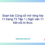 Soạn bài Củng cố, mở rộng lớp 11 trang 73 Tập 1 | Ngữ văn 11 Kết nối tri thức