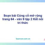 Soạn bài Tri thức ngữ văn lớp 9 trang 64 Tập 2 | Chân trời sáng tạo Ngữ văn 9