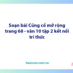 Soạn bài Củng cố, mở rộng lớp 10 trang 68, 69 tập 2 | Ngữ văn 10 Kết nối tri thức