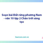 Soạn bài Đất rừng phương Nam | Ngữ văn 10 Chân trời sáng tạo