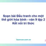 Soạn bài Đấu tranh cho một thế giới hòa bình | Kết nối tri thức Ngữ văn 9