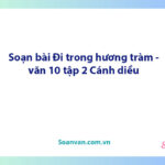 Soạn bài Đi trong hương tràm | Ngữ văn 10 Cánh diều