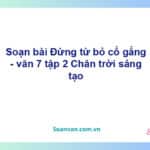 Soạn bài Đừng từ bỏ cố gắng | Chân trời sáng tạo Ngữ văn 7