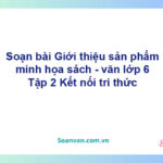 Soạn bài Giới thiệu sản phẩm minh họa sách – Kết nối tri thức Văn 6