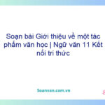 Soạn bài Giới thiệu về một tác phẩm văn học | Ngữ văn 11 Kết nối tri thức