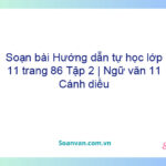 Soạn bài Hướng dẫn tự học lớp 11 trang 86 Tập 2 | Ngữ văn 11 Cánh diều