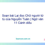 Soạn bài Lại đọc Chữ người tử tù của Nguyễn Tuân | Ngữ văn 11 Cánh diều