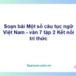 Soạn bài Một số câu tục ngữ Việt Nam | Kết nối tri thức Ngữ văn 7