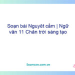 Soạn bài Nguyệt cầm | Ngữ văn 11 Chân trời sáng tạo