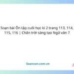 soạn bài Ôn tập cuối học kì 2 trang 113, 114, 115, 116 chân trời sáng tạo ngữ văn 7