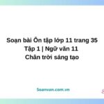 soạn bài Ôn tập lớp 11 trang 35 tập 1 ngữ văn 11 chân trời sáng tạo