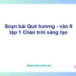 Soạn bài Quê hương (Tế Hanh) | Chân trời sáng tạo Ngữ văn 9