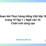 soạn bài thực hàng tiếng việt lớp 10 trang 19 tập 1 ngữ văn 10 chân trời sáng tạo