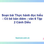 Soạn bài Thực hành đọc hiểu - Cô bé bán diêm – Cánh diều Văn 6