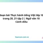 soạn bài thực hành tiếng việt lớp 10 trang 20, 21 tập 2 ngữ văn 10 cánh diều