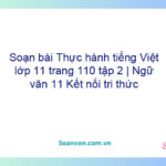 Soạn bài Thực hành tiếng Việt lớp 11 trang 110 tập 2 | Ngữ văn 11 Kết nối tri thức