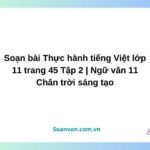 soạn bài thực hành tiếng việt lớp 11 trang 45 tập 2 ngữ văn 11 chân trời sáng tạo