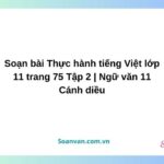 soạn bài thực hành tiếng việt lớp 11 trang 75 tập 2 ngữ văn 11 cánh diều