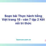 Soạn bài Thực hành tiếng Việt lớp 7 trang 10 tập 2 | Kết nối tri thức Ngữ văn 7