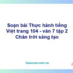 Soạn bài Thực hành tiếng Việt lớp 7 trang 104 tập 2 | Chân trời sáng tạo Ngữ văn 7