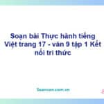 Soạn bài Thực hành tiếng Việt lớp 9 trang 17 Tập 2 | Cánh diều Ngữ văn 9