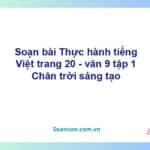 Soạn bài Thực hành tiếng Việt lớp 9 trang 20 Tập 1 | Chân trời sáng tạo Ngữ văn 9