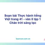 Soạn bài Thực hành tiếng Việt lớp 8 trang 41 Tập 1 | Chân trời sáng tạo Ngữ văn 8