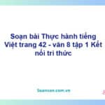 Soạn bài Thực hành tiếng Việt lớp 8 trang 42 Tập 1 | Kết nối tri thức Ngữ văn 8