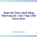 Soạn bài Thực hành tiếng Việt lớp 7 trang 83 Tập 2 | Kết nối tri thức Ngữ văn 7