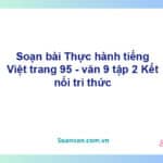 Soạn bài Thực hành tiếng Việt lớp 9 trang 95 Tập 2 | Kết nối tri thức Ngữ văn 9