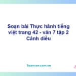 Soạn bài Thực hành tiếng Việt lớp 7 trang 42, 43 tập 2 | Cánh diều Ngữ văn 7