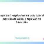 Soạn bài Thuyết trình và thảo luận về một vấn đề xã hội | Ngữ văn 10 Cánh diều