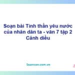 Soạn bài Tinh thần yêu nước của nhân dân ta | Cánh diều Ngữ văn 7