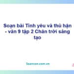 Soạn bài Tình yêu và thù hận | Chân trời sáng tạo Ngữ văn 9