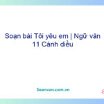 Soạn bài Tôi yêu em | Ngữ văn 11 Cánh diều