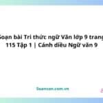 soạn bài tri thức ngữ văn lớp 9 trang 115 tập 1 cánh diều ngữ văn 9