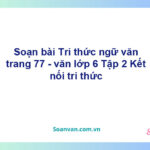 Soạn bài Tri thức ngữ văn trang 77 – Kết nối tri thức Văn 6